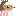 Mrs Tiggy-Winkle