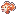 Clown Fish